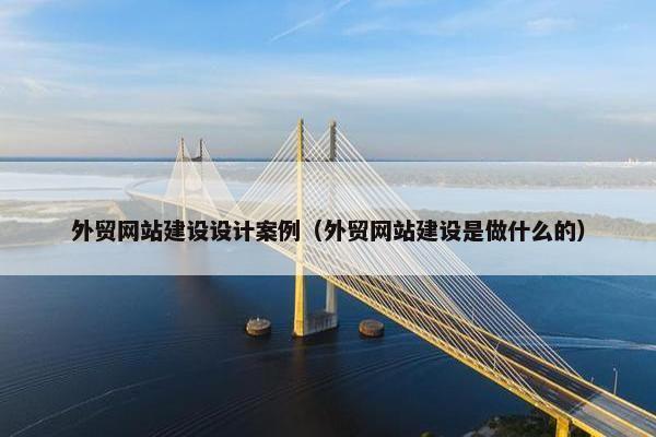 外贸网站建设设计案例（外贸网站建设是做什么的）