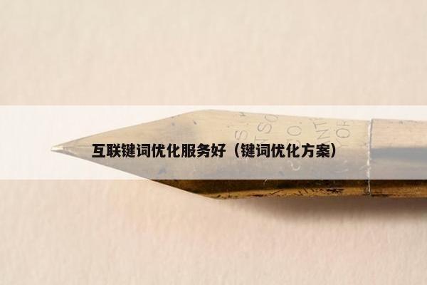 互联键词优化服务好（键词优化方案）