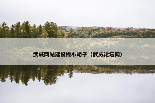 武威网站建设找小胡子（武威论坛网）