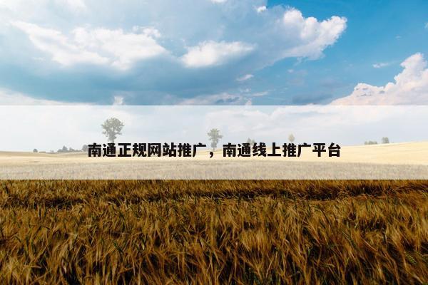 南通正规网站推广，南通线上推广平台