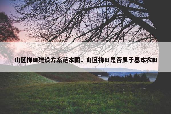 山区梯田建设方案范本图，山区梯田是否属于基本农田