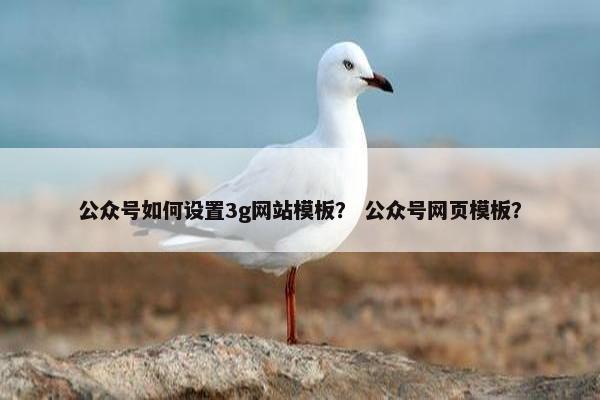公众号如何设置3g网站模板？ 公众号网页模板？