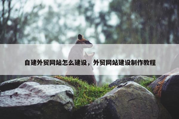 自建外贸网站怎么建设，外贸网站建设制作教程