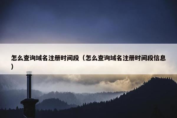 怎么查询域名注册时间段（怎么查询域名注册时间段信息）