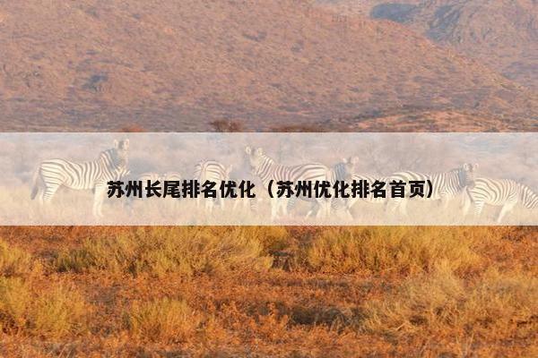 苏州长尾排名优化（苏州优化排名首页）