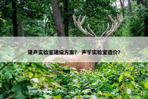 建声实验室建设方案？ 声学实验室造价？