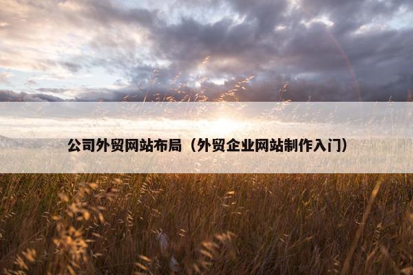 公司外贸网站布局（外贸企业网站制作入门）