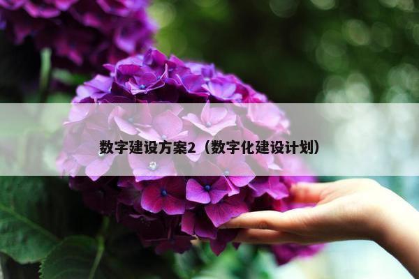 数字建设方案2（数字化建设计划）