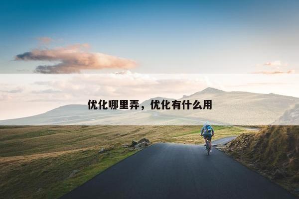 优化哪里弄，优化有什么用