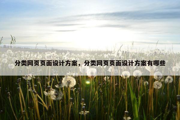 分类网页页面设计方案，分类网页页面设计方案有哪些