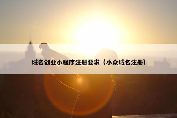 域名创业小程序注册要求（小众域名注册）