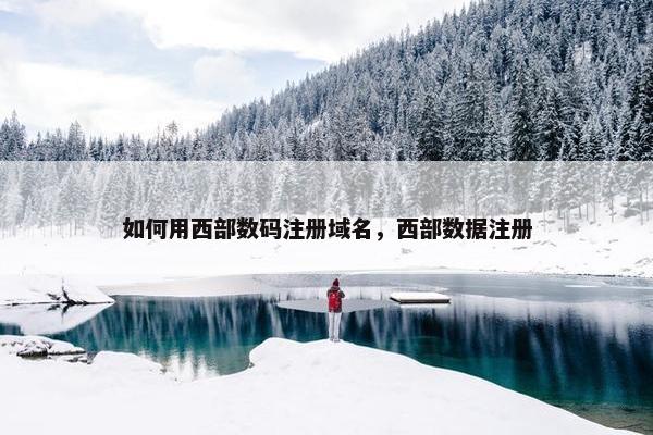 如何用西部数码注册域名，西部数据注册