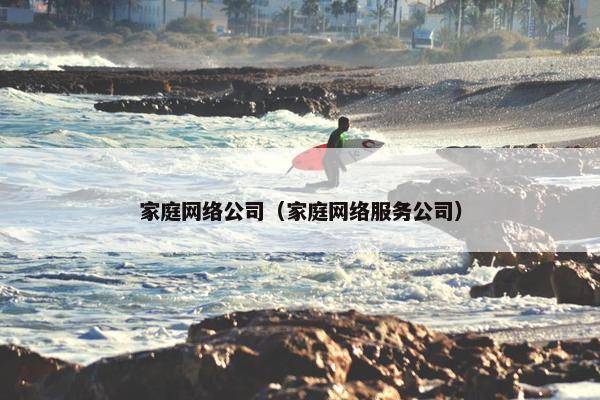 家庭网络公司（家庭网络服务公司）