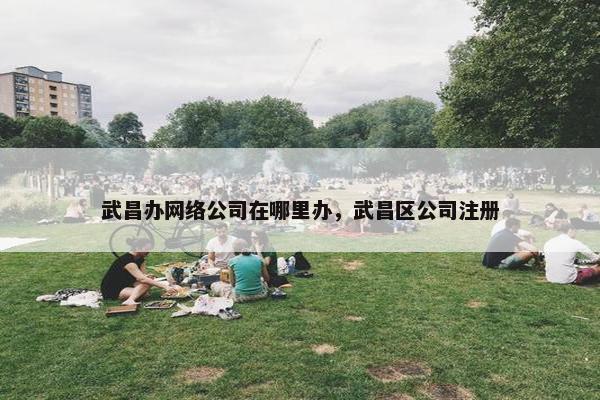 武昌办网络公司在哪里办，武昌区公司注册
