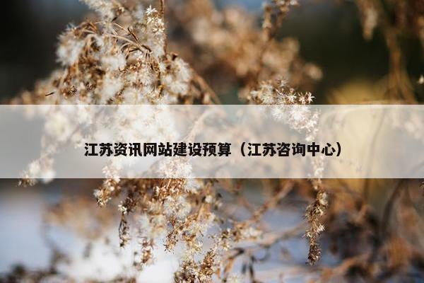 江苏资讯网站建设预算（江苏咨询中心）
