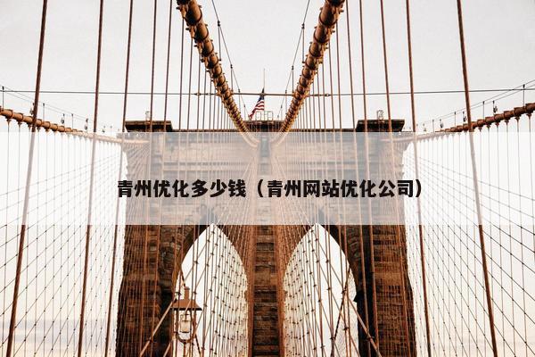 青州优化多少钱（青州网站优化公司）
