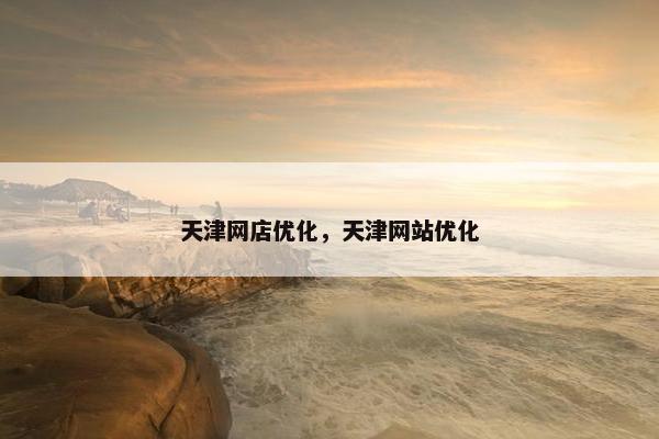 天津网店优化，天津网站优化
