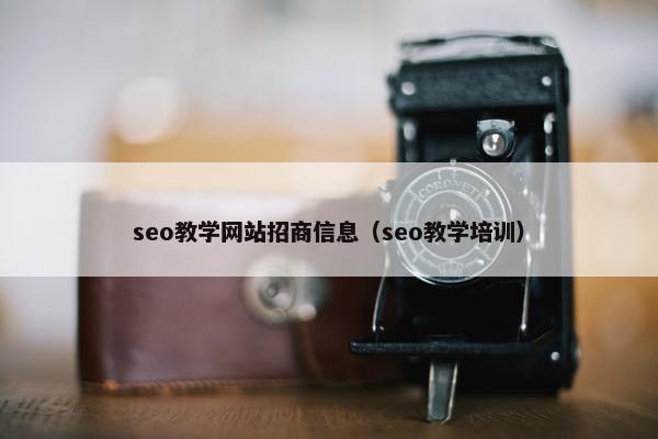 seo教学网站招商信息（seo教学培训）