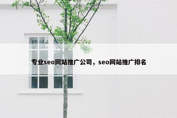 专业seo网站推广公司，seo网站推广排名