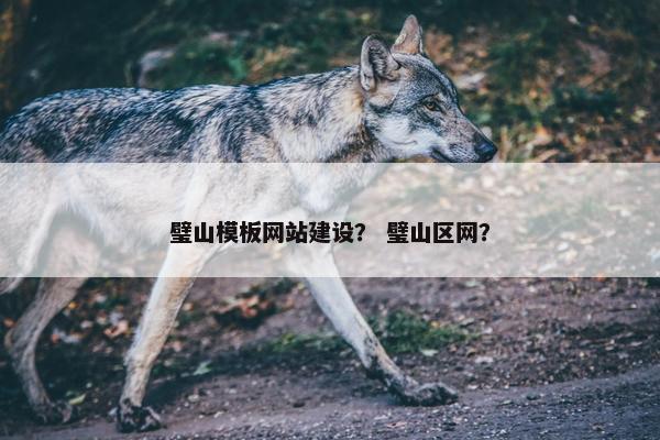 璧山模板网站建设？ 璧山区网？