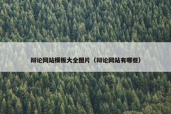 辩论网站模板大全图片（辩论网站有哪些）