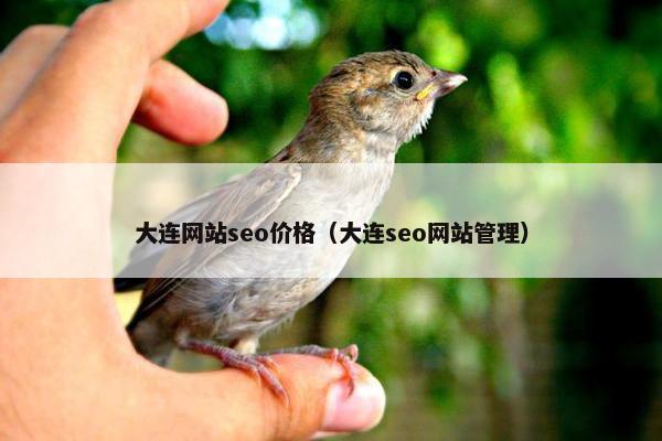 大连网站seo价格（大连seo网站管理）