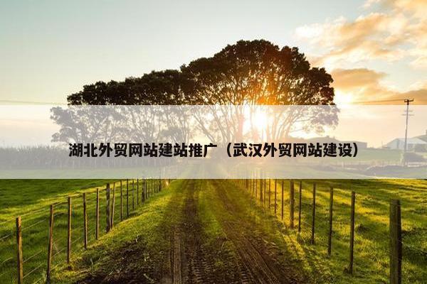 湖北外贸网站建站推广（武汉外贸网站建设）