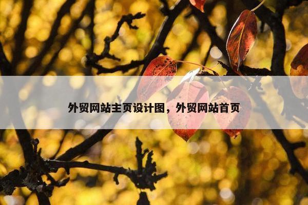 外贸网站主页设计图，外贸网站首页