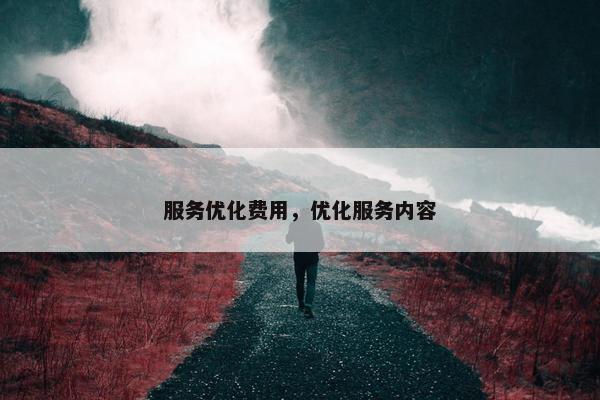 服务优化费用，优化服务内容