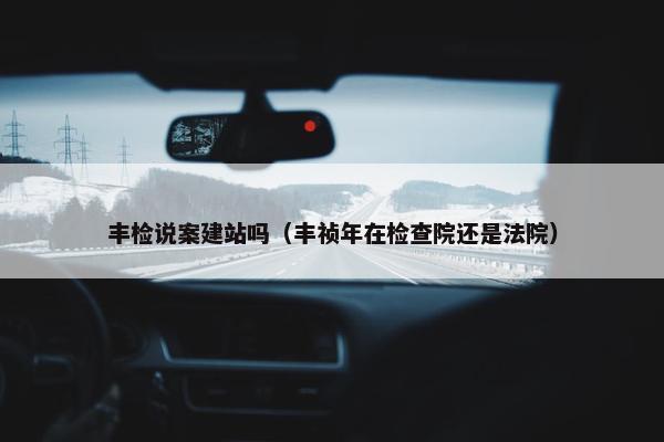 丰检说案建站吗（丰祯年在检查院还是法院）