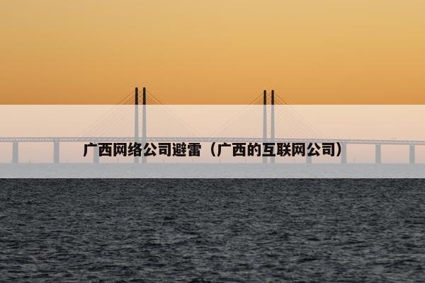 广西网络公司避雷（广西的互联网公司）