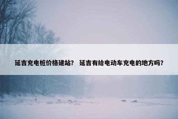 延吉充电桩价格建站？ 延吉有给电动车充电的地方吗？
