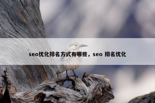 seo优化排名方式有哪些，seo 排名优化