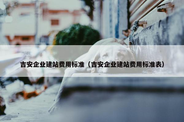 吉安企业建站费用标准（吉安企业建站费用标准表）