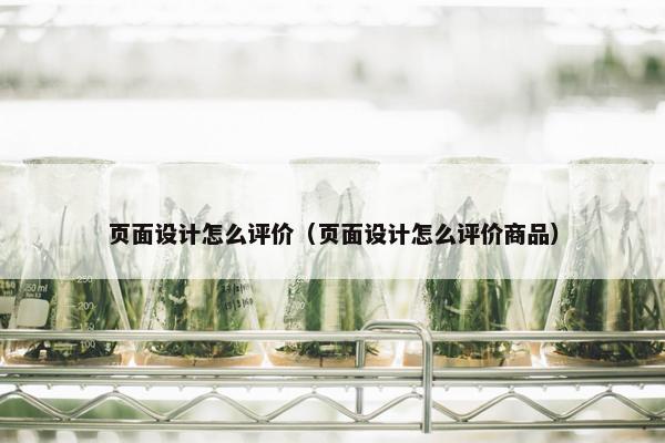 页面设计怎么评价（页面设计怎么评价商品）