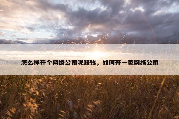 怎么样开个网络公司呢赚钱，如何开一家网络公司