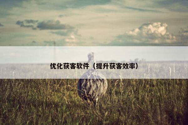 优化获客软件（提升获客效率）