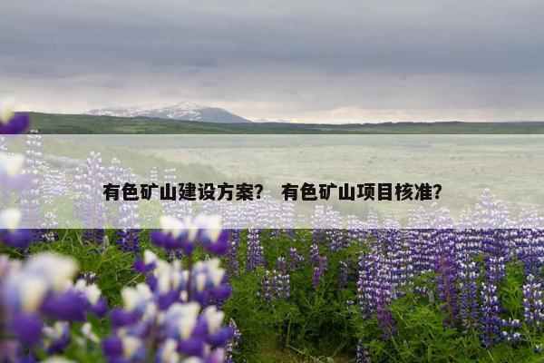 有色矿山建设方案？ 有色矿山项目核准？