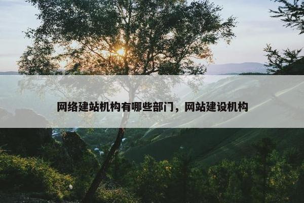 网络建站机构有哪些部门，网站建设机构