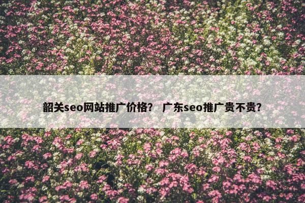 韶关seo网站推广价格？ 广东seo推广贵不贵？