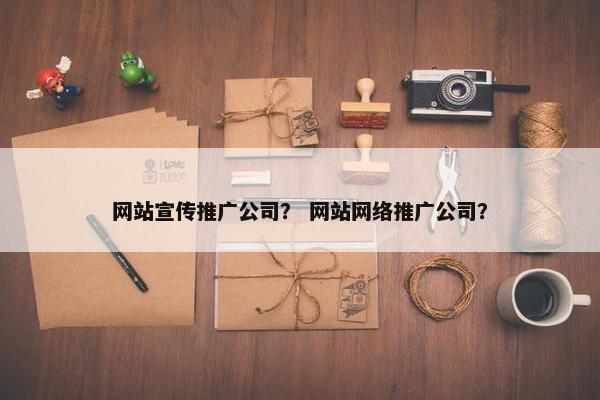 网站宣传推广公司？ 网站网络推广公司？