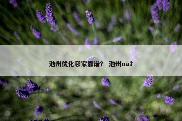 池州优化哪家靠谱？ 池州oa？