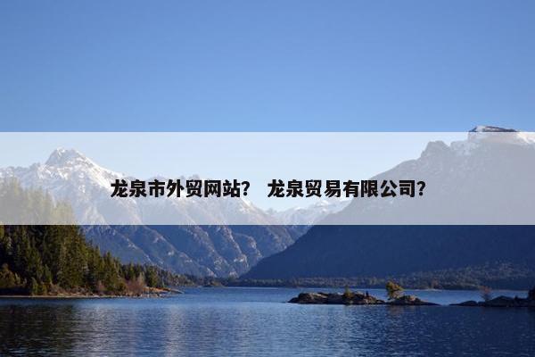 龙泉市外贸网站？ 龙泉贸易有限公司？