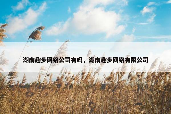 湖南趣步网络公司有吗，湖南趣步网络有限公司