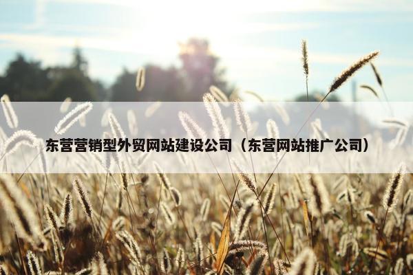 东营营销型外贸网站建设公司（东营网站推广公司）