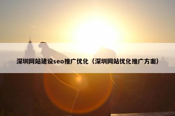 深圳网站建设seo推广优化（深圳网站优化推广方案）