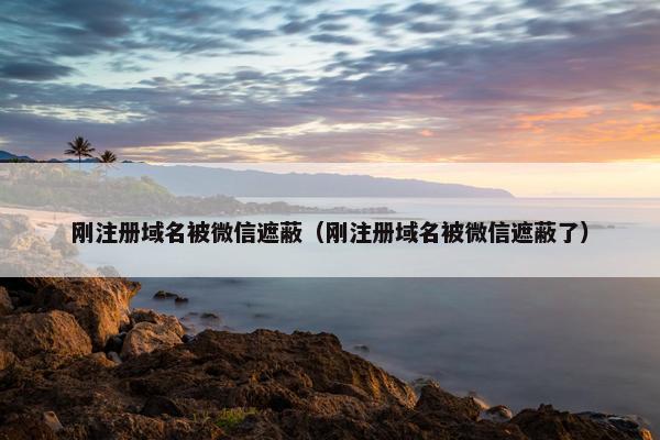 刚注册域名被微信遮蔽（刚注册域名被微信遮蔽了）