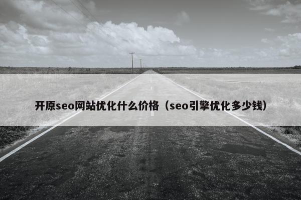 开原seo网站优化什么价格（seo引擎优化多少钱）