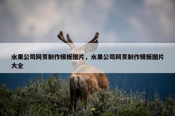 水果公司网页制作模板图片，水果公司网页制作模板图片大全