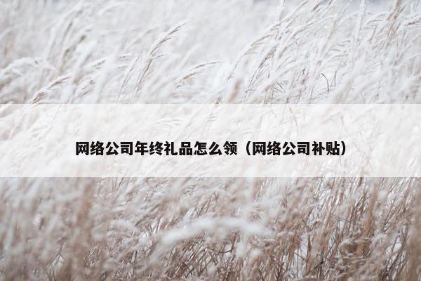网络公司年终礼品怎么领（网络公司补贴）